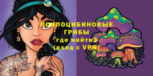 эйфоретик Богородск