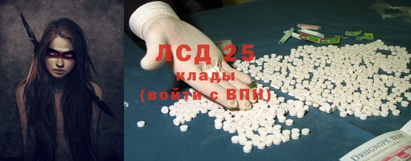 прущий лед Бородино