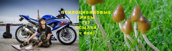 гашишное масло Бугульма
